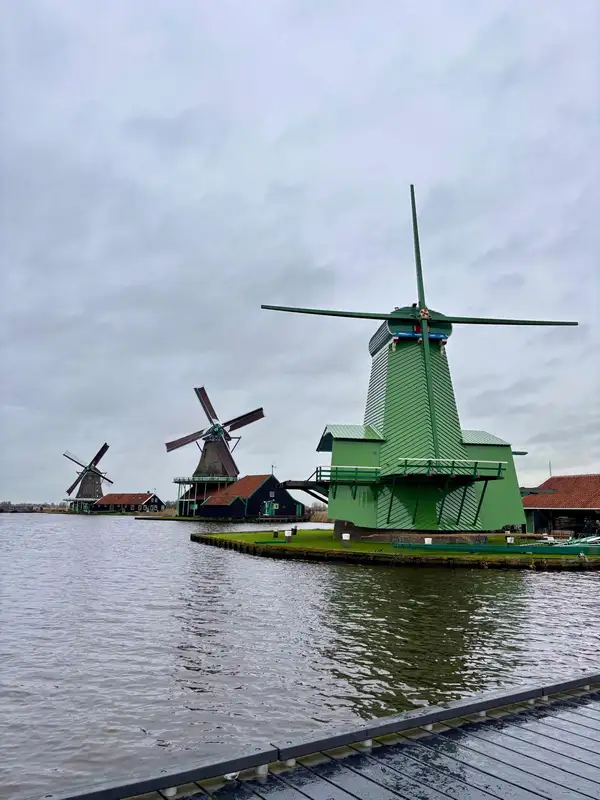 Molinos de Zaanse Schans junto al río con casas de madera verde