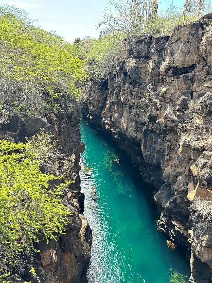 Las Grietas en Santa Cruz, Galápagos — canal de agua turquesa entre paredes de roca volcánica