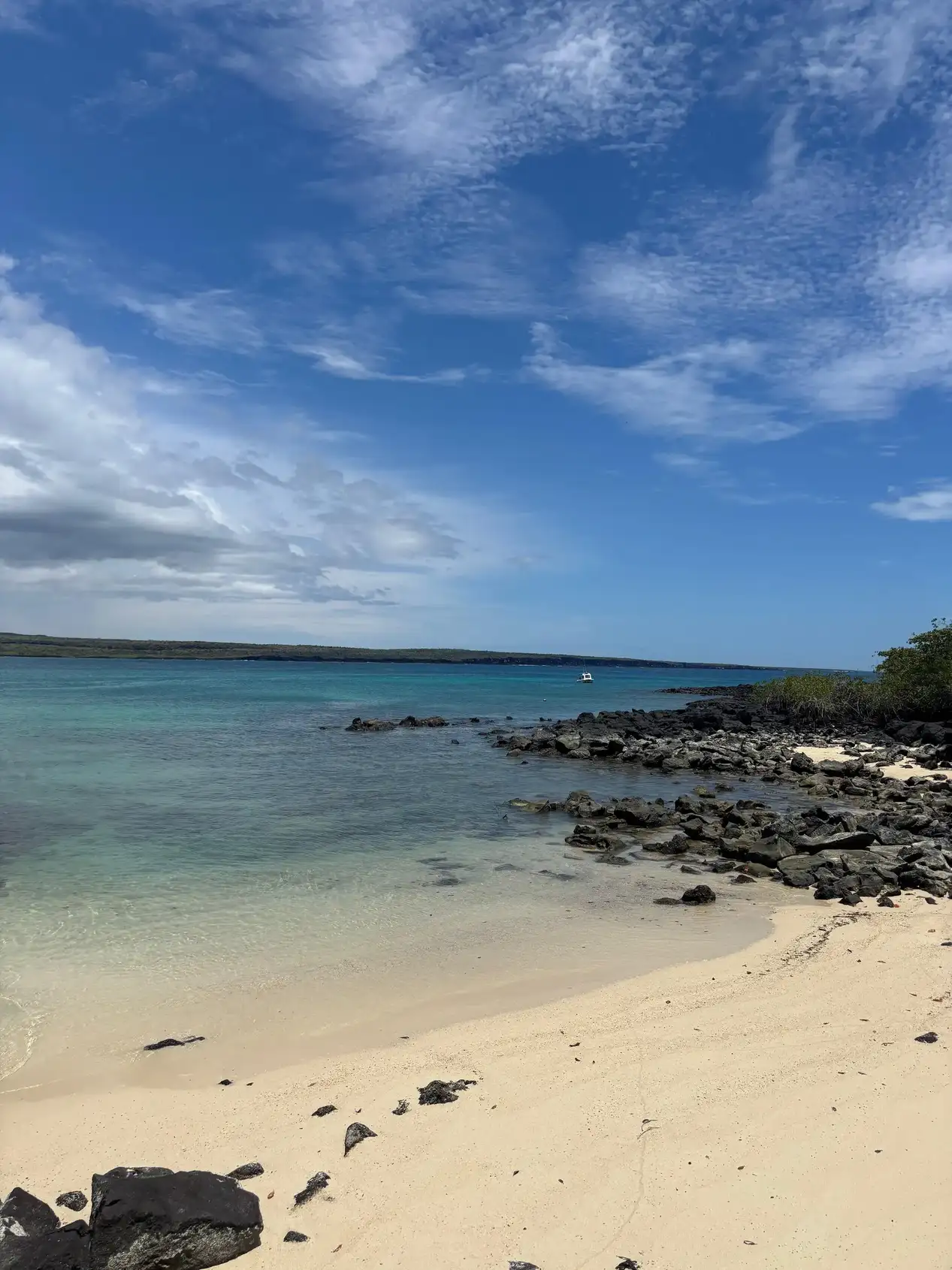 Playa de arena blanca con agua turquesa y roca volcánica en Isla Isabela, Galápagos