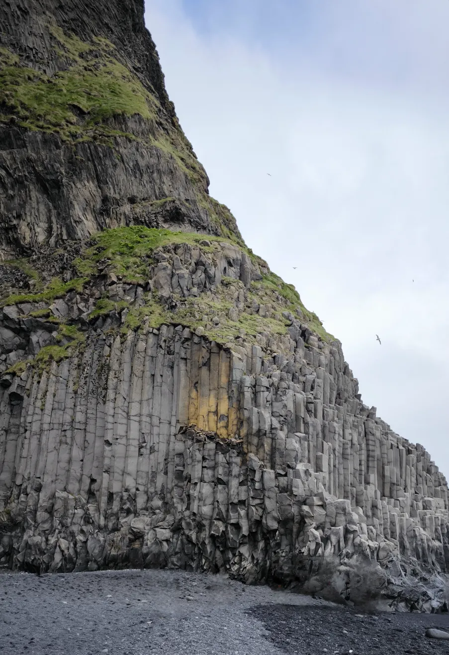 Columnas de basalto hexagonal de Reynisfjara con gaviotas volando